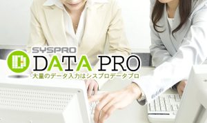 月間１５０件の問合せを獲得したデータ入力代行サービス「シスプロデータプロ」